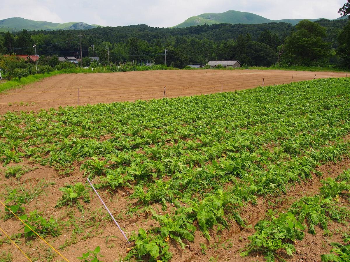 Hiraodai Kitakyushu Exterior foto