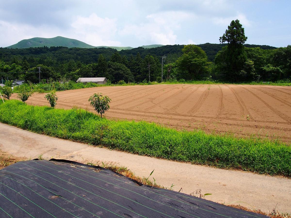 Hiraodai Kitakyushu Exterior foto